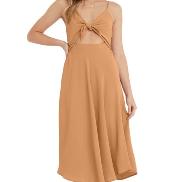 Vici Dresses & Skirts - Vici Collection Tie Front Cutout Midi Dress Apple Cinnamon